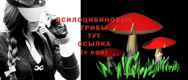 таблы Каменка