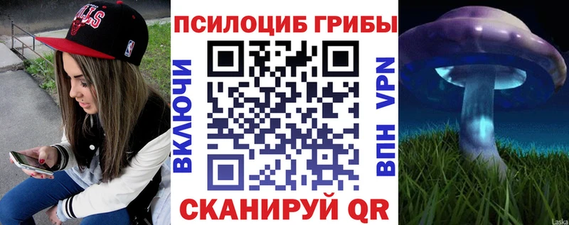 Псилоцибиновые грибы MAGIC MUSHROOMS  Купить где  Петухово 